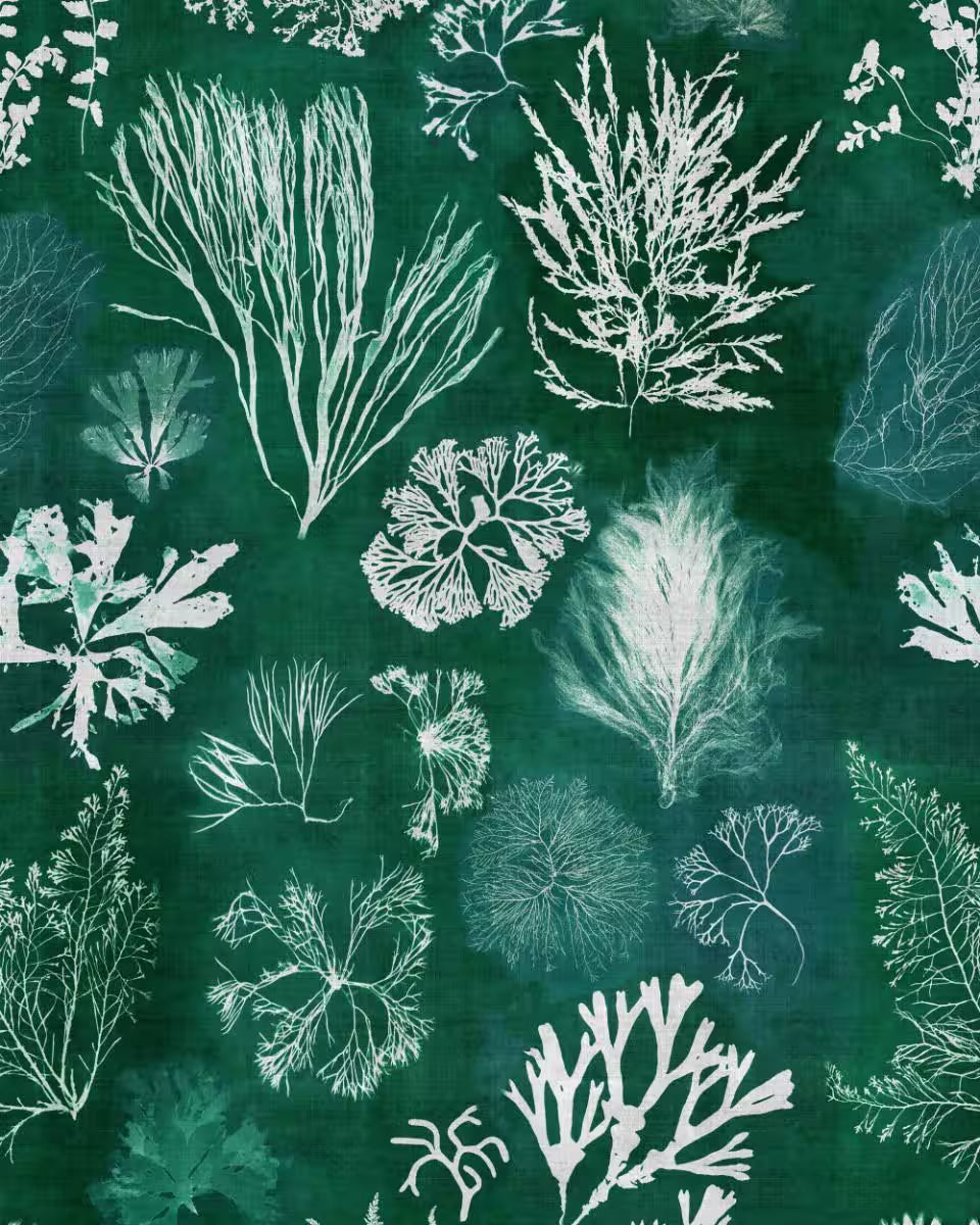 Algae Moss Wallpaper