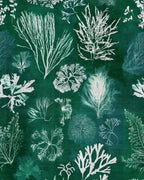 Algae Moss Wallpaper